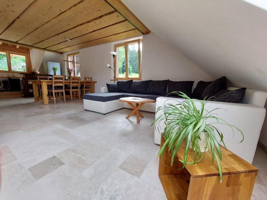 Apartamento Zum Eichbuehl St. Blasien Exterior foto